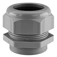 Schlemmer 5308955