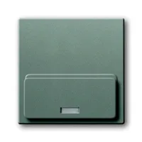 Busch-Jaeger 8254-803