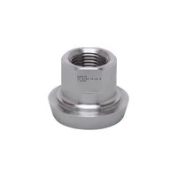 IFM ADAPT G1/2-DIN11851 DN25