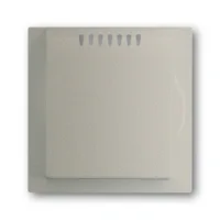 Busch-Jaeger 6541-79