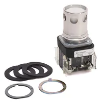 Allen Bradley 800T-QA24WD1
