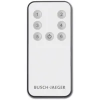 Busch-Jaeger 6179-500