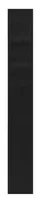 Leuze OTB 40-BK250