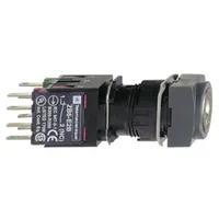 Schneider Electric XB6CGH5B