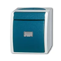 Busch-Jaeger 2621 W-53-206