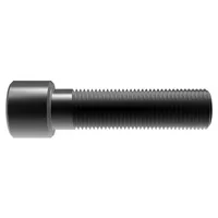 010955  SCREW